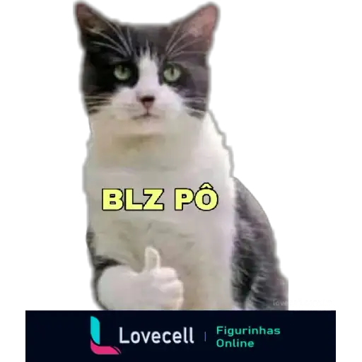 Coletadas sticker 32323