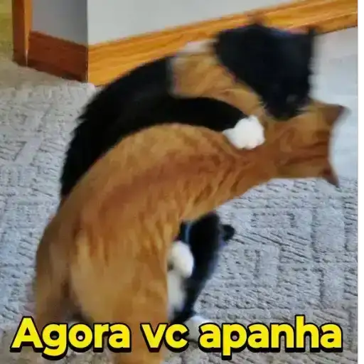 Coletadas sticker 16153