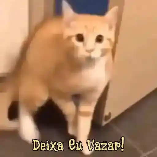 Coletadas sticker 790