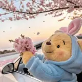 Figurinha de Amor para WhatsApp