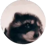 Figurinha de Animais para WhatsApp