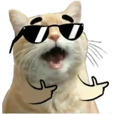 Figurinha de Gatos para WhatsApp