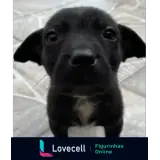 Sticker para WhatsApp