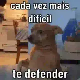 Figurinha de Cachorros para WhatsApp