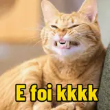 Figurinha de Memes Brasileiros para WhatsApp