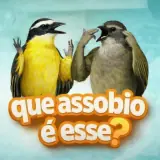Figurinha para WhatsApp