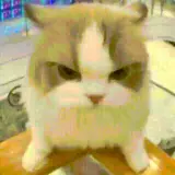 Figurinha para WhatsApp