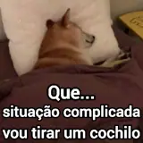 Sticker de Cachorros para WhatsApp