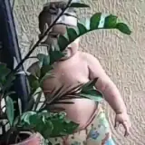 Figurinha para WhatsApp