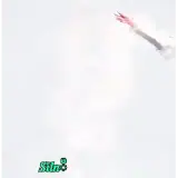 Figurinha para WhatsApp