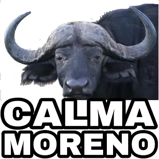 Coletadas sticker 6435