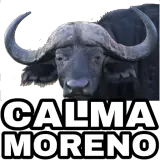 Figurinha de Memes Brasileiros para WhatsApp