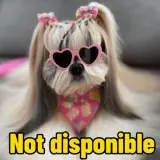 Figurinha para WhatsApp