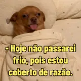 Sticker para WhatsApp