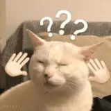 Gatos WhatsApp sticker