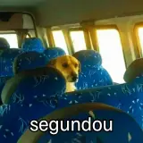 Figurinha de Cachorros para WhatsApp