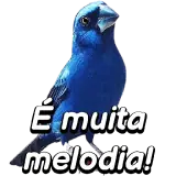 WhatsApp sticker