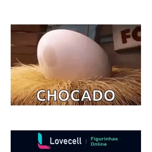 Coletadas sticker 32506