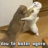 Figurinha de Memes para WhatsApp