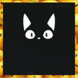 Sticker de Gatos para WhatsApp