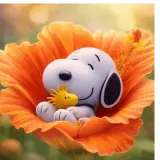 Figurinha de Animais para WhatsApp