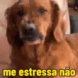 Figurinha de Cachorros para WhatsApp