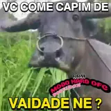 Figurinha para WhatsApp