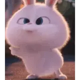 Animais WhatsApp sticker