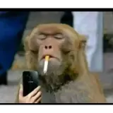 Engraçados WhatsApp sticker