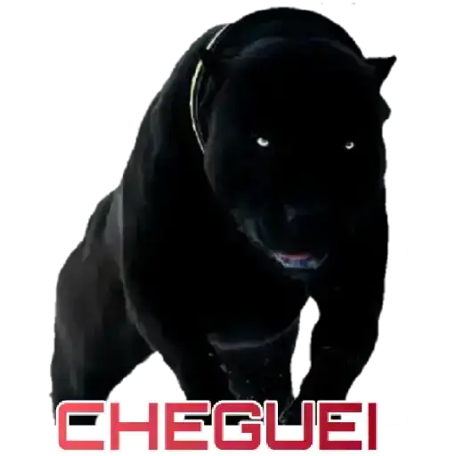 Coletadas sticker 20203