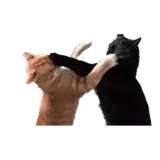 Figurinha para WhatsApp