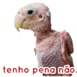 Sticker para WhatsApp