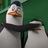 Figurinha de Animais para WhatsApp