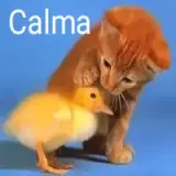 Figurinha de Animais para WhatsApp