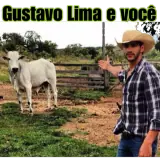 Figurinha de Memes Brasileiros para WhatsApp