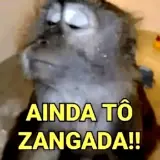 Figurinha de Memes Brasileiros para WhatsApp