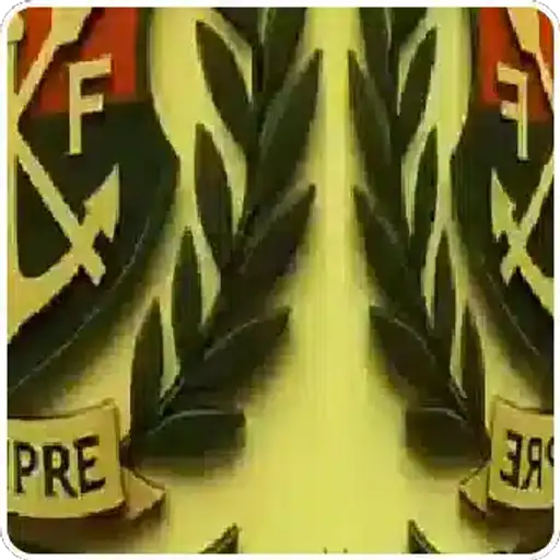 Coletadas sticker 306