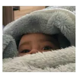 Figurinha de Animais para WhatsApp