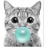 Figurinha de Animais para WhatsApp