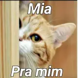 Figurinha de Memes com Texto para WhatsApp