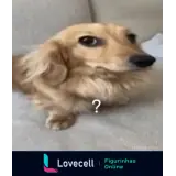 Figurinha para WhatsApp
