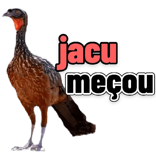 Coletadas sticker 183