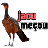 Figurinha para WhatsApp