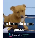 Sticker para WhatsApp