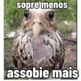 Sticker para WhatsApp