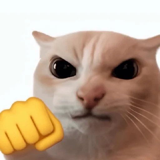 Figurinha para WhatsApp — reação