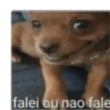 Sticker de Cachorros para WhatsApp