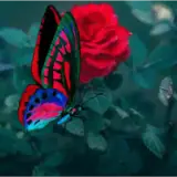 Figurinha para WhatsApp