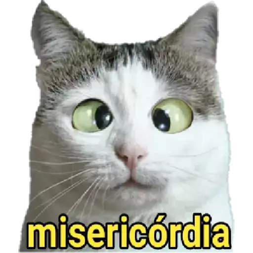 Coletadas sticker 25971
