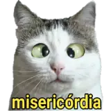 Sticker de Gatos para WhatsApp